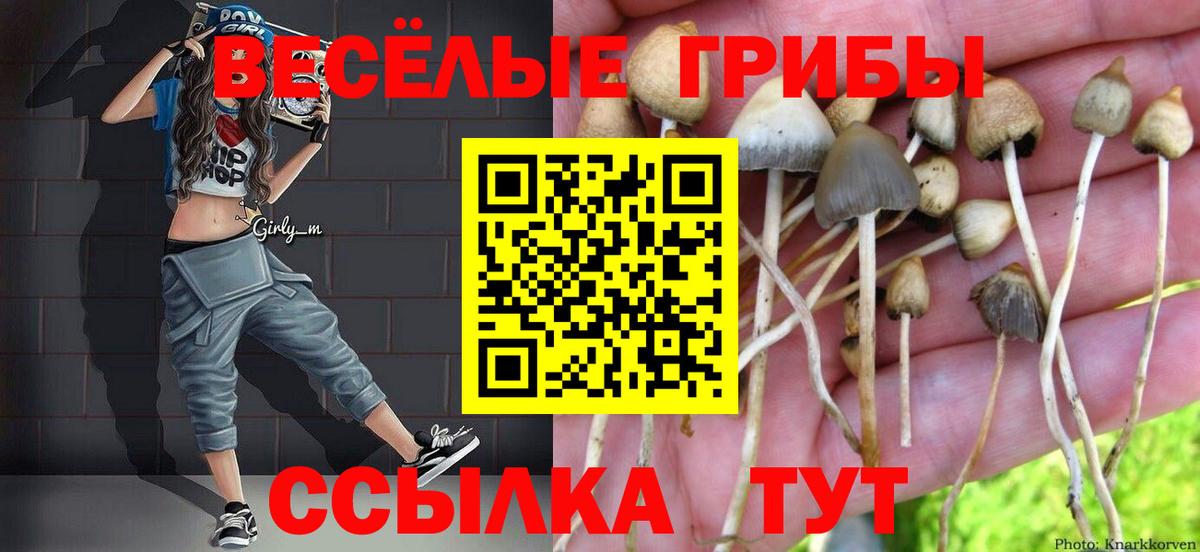 Псилоцибиновые грибы прущие грибы  Вход с VPN  Орехово-Зуево 